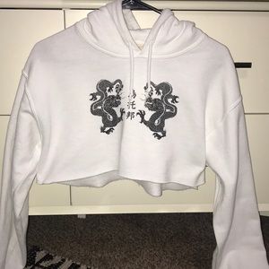 Urban Outfitters Dragon Crop Hoodie
